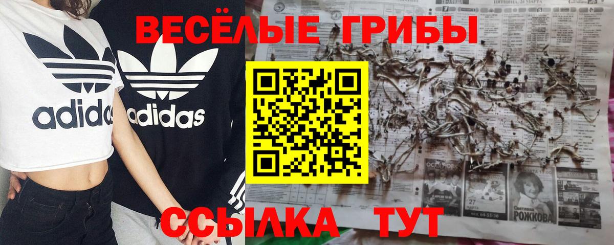 наркошоп  Псилоцибиновые грибы Psilocybine cubensis  Вход с VPN  Пугачёв 