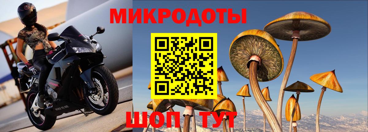 Галлюциногенные грибы мухоморы Пугачёв