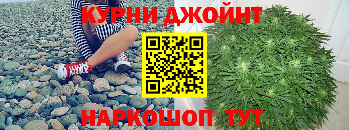 Конопля ГИДРОПОН  Канабис THC 21%  Пугачёв  Конопля SATIVA & INDICA  Вход с VPN 